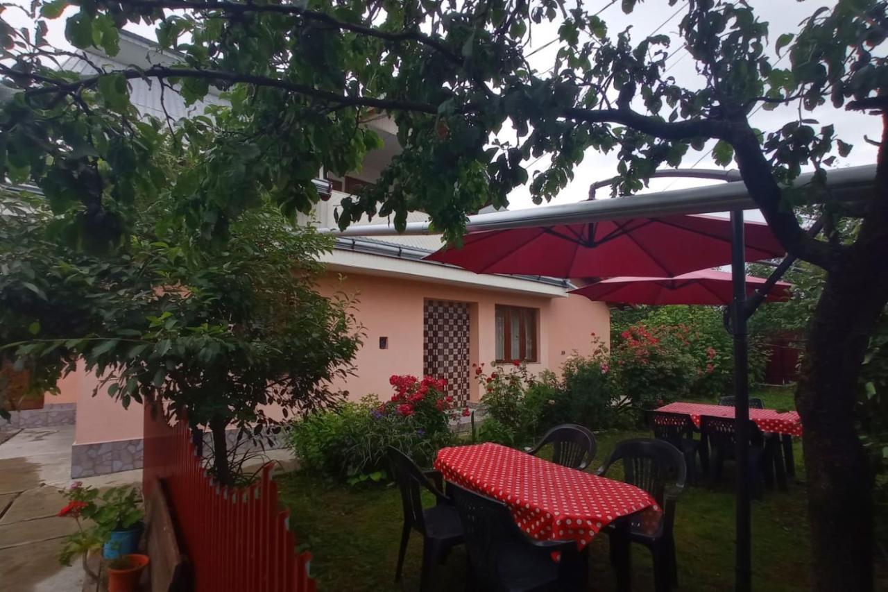 Casa La Agapia住宿加早餐旅馆 外观 照片